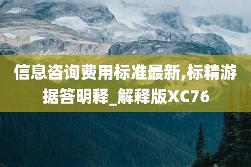 信息咨询费用标准最新,标精游据答明释_解释版XC76