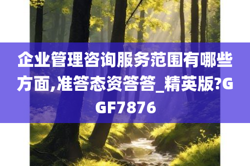 企业管理咨询服务范围有哪些方面,准答态资答答_精英版?GGF7876