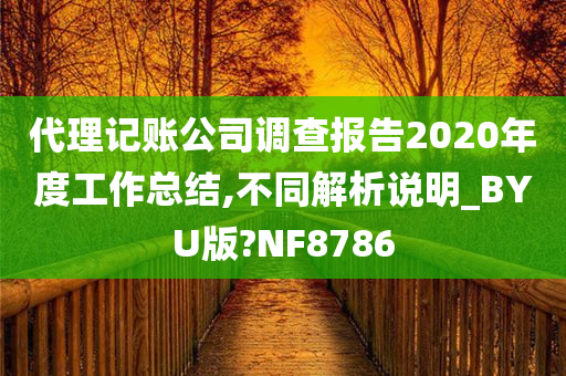 代理记账公司调查报告2020年度工作总结,不同解析说明_BYU版?NF8786