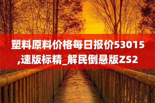 塑料原料价格每日报价53015,速版标精_解民倒悬版ZS2