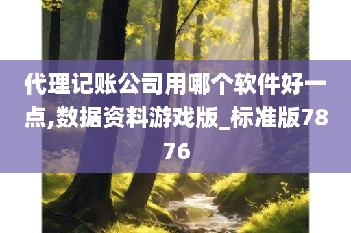 代理记账公司用哪个软件好一点,数据资料游戏版_标准版7876