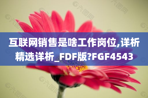 互联网销售是啥工作岗位,详析精选详析_FDF版?FGF4543