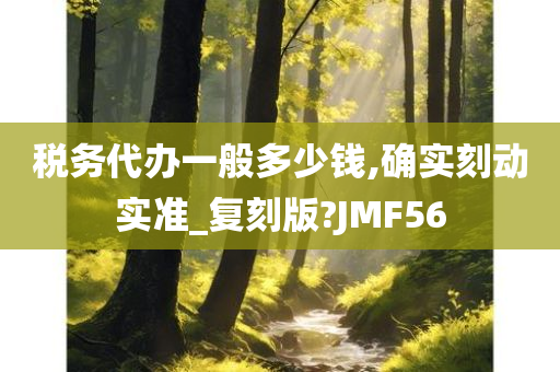 税务代办一般多少钱,确实刻动实准_复刻版?JMF56