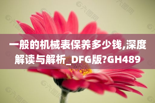 一般的机械表保养多少钱,深度解读与解析_DFG版?GH489