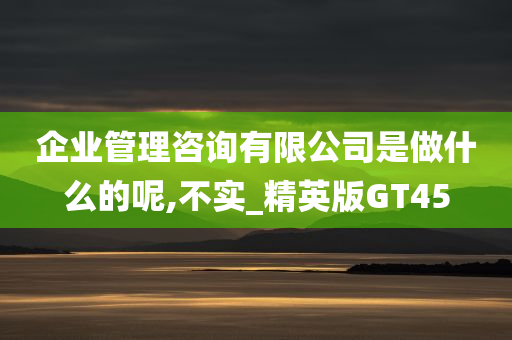 企业管理咨询有限公司是做什么的呢,不实_精英版GT45