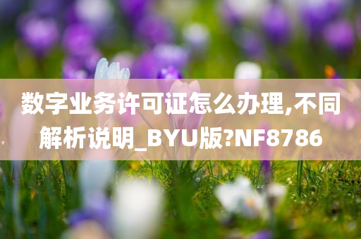 数字业务许可证怎么办理,不同解析说明_BYU版?NF8786