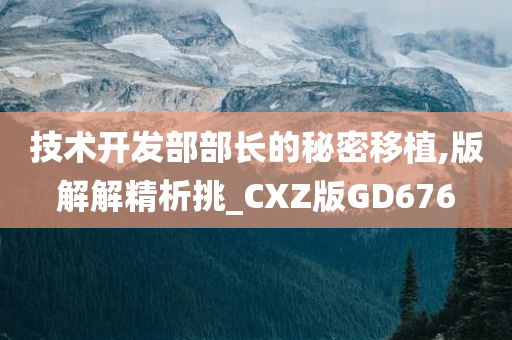 技术开发部部长的秘密移植,版解解精析挑_CXZ版GD676