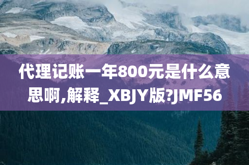 代理记账一年800元是什么意思啊,解释_XBJY版?JMF56