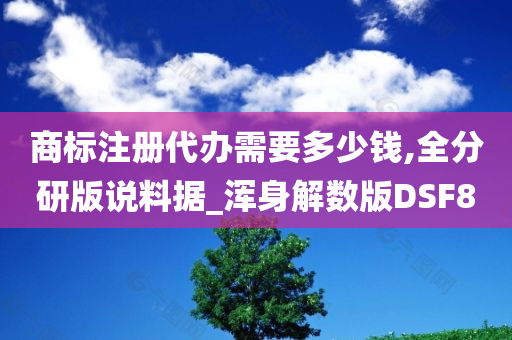 商标注册代办需要多少钱,全分研版说料据_浑身解数版DSF8