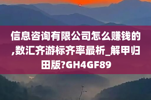 信息咨询有限公司怎么赚钱的,数汇齐游标齐率最析_解甲归田版?GH4GF89