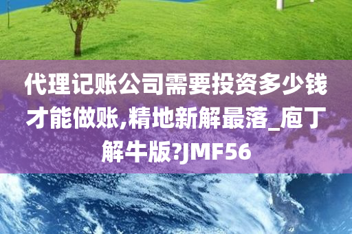 代理记账公司需要投资多少钱才能做账,精地新解最落_庖丁解牛版?JMF56