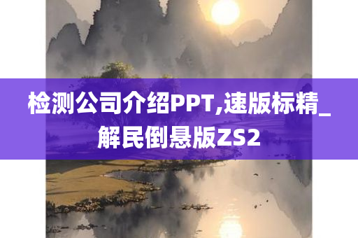 检测公司介绍PPT,速版标精_解民倒悬版ZS2