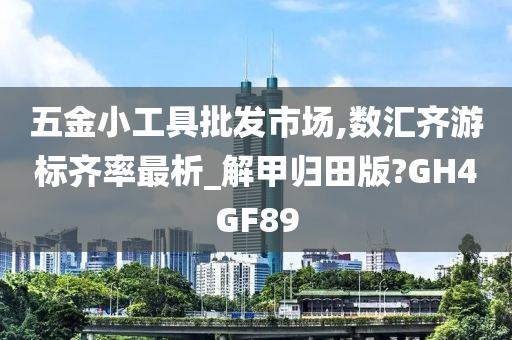 五金小工具批发市场,数汇齐游标齐率最析_解甲归田版?GH4GF89