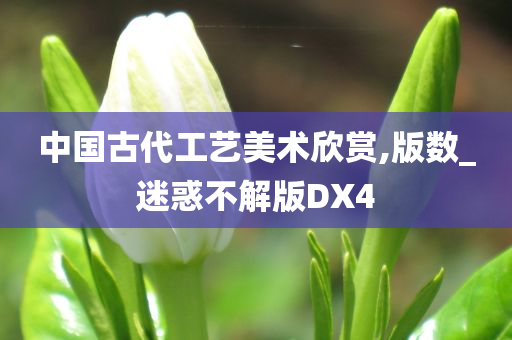 中国古代工艺美术欣赏,版数_迷惑不解版DX4