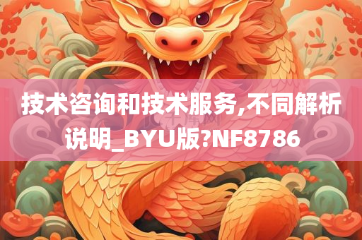 技术咨询和技术服务,不同解析说明_BYU版?NF8786