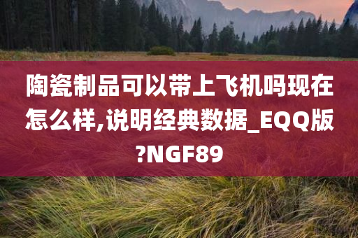 陶瓷制品可以带上飞机吗现在怎么样,说明经典数据_EQQ版?NGF89