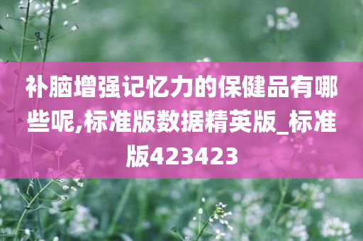 补脑增强记忆力的保健品有哪些呢,标准版数据精英版_标准版423423