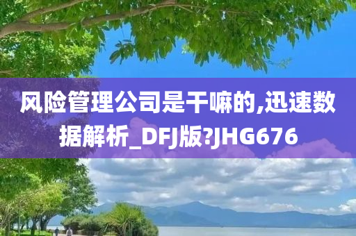 风险管理公司是干嘛的,迅速数据解析_DFJ版?JHG676