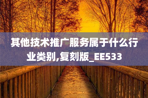 其他技术推广服务属于什么行业类别,复刻版_EE533