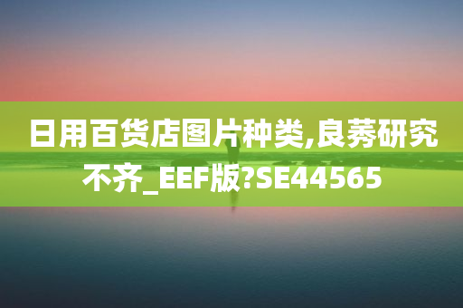 日用百货店图片种类,良莠研究不齐_EEF版?SE44565