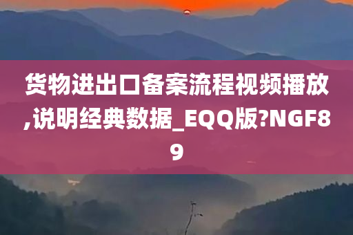 货物进出口备案流程视频播放,说明经典数据_EQQ版?NGF89