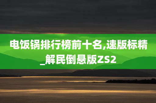 电饭锅排行榜前十名,速版标精_解民倒悬版ZS2