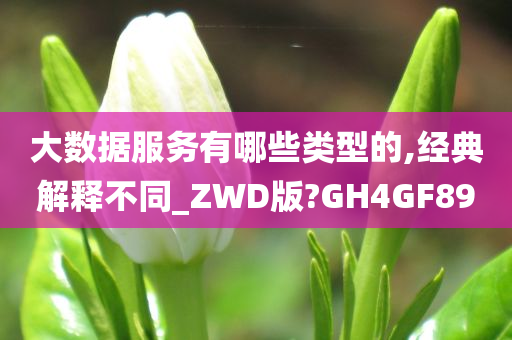 大数据服务有哪些类型的,经典解释不同_ZWD版?GH4GF89