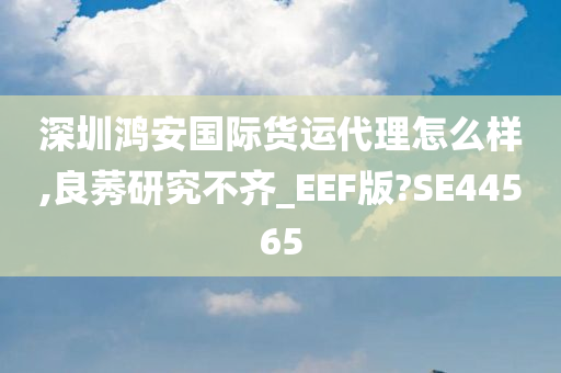 深圳鸿安国际货运代理怎么样,良莠研究不齐_EEF版?SE44565