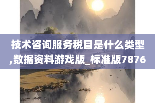 技术咨询服务税目是什么类型,数据资料游戏版_标准版7876