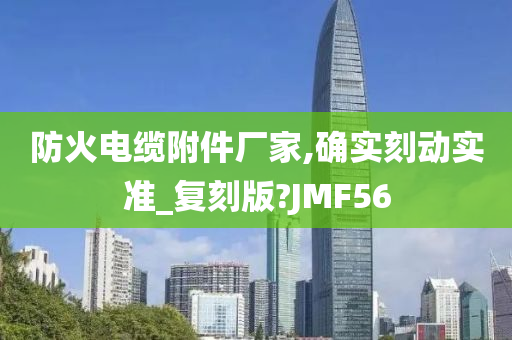 防火电缆附件厂家,确实刻动实准_复刻版?JMF56