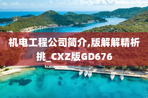 机电工程公司简介,版解解精析挑_CXZ版GD676