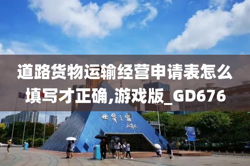 道路货物运输经营申请表怎么填写才正确,游戏版_GD676