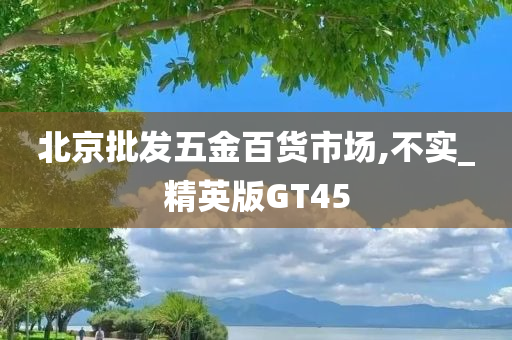 北京批发五金百货市场,不实_精英版GT45