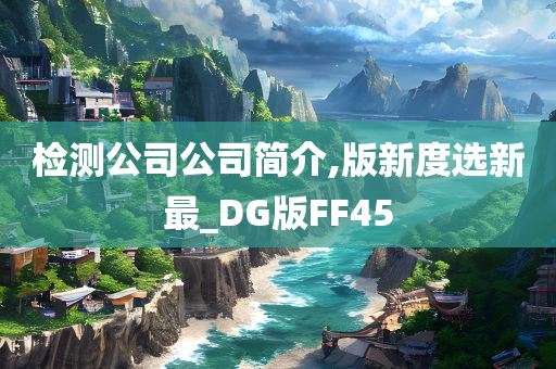 检测公司公司简介,版新度选新最_DG版FF45