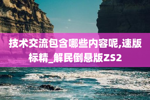 技术交流包含哪些内容呢,速版标精_解民倒悬版ZS2