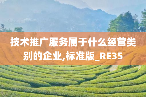 技术推广服务属于什么经营类别的企业,标准版_RE35