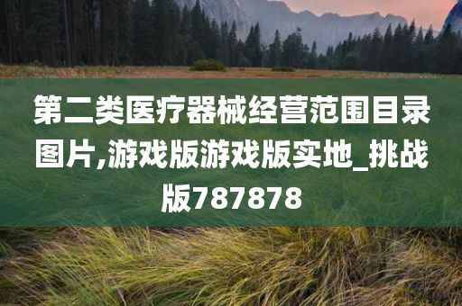 第二类医疗器械经营范围目录图片,游戏版游戏版实地_挑战版787878