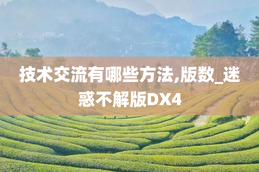 技术交流有哪些方法,版数_迷惑不解版DX4