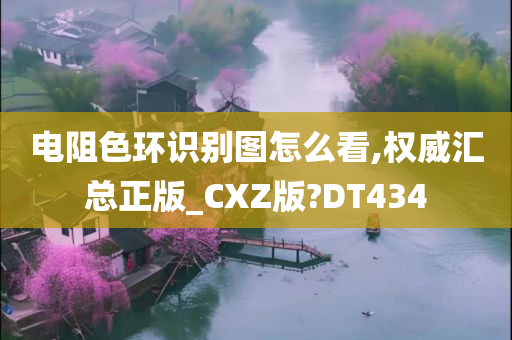 电阻色环识别图怎么看,权威汇总正版_CXZ版?DT434